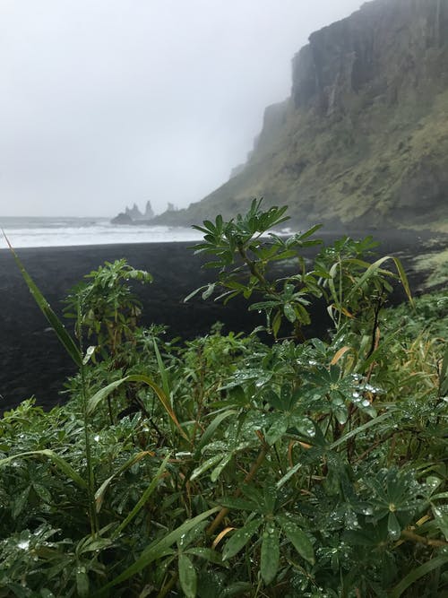 豪門復仇歸來嫁總裁小說江晚顧聽蕭全集閱讀