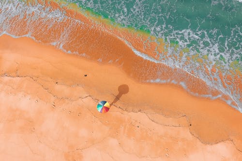 五年級(jí)小說(shuō)彼岸復(fù)仇第四章