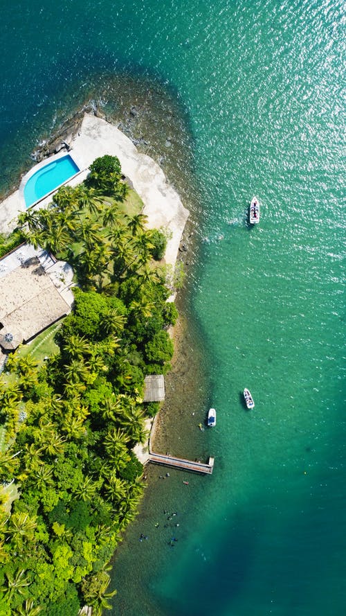 逆襲楊林王青青重生十年后小說(shuō)無(wú)錯(cuò)版閱讀