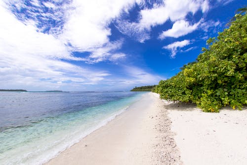 精選笑貓日記范文9篇