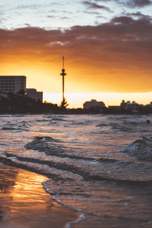 第一龍王小說爽文陳楓林初然在線閱讀