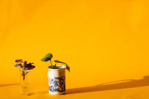 逆襲黃金年代小說穿越許昌郭婉晴無刪減閱讀 逆襲黃金年代小說穿越許昌郭婉晴無刪減閱讀