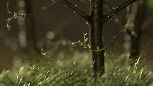 給同學(xué)的元旦祝福語小集