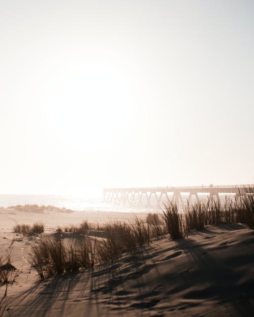 養(yǎng)父經(jīng)典臺(tái)詞 養(yǎng)父經(jīng)典臺(tái)詞