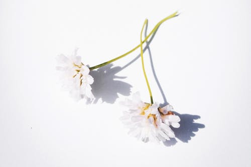 新學(xué)期新打算的日記500字