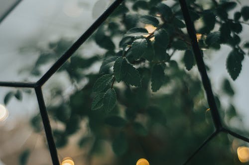 我的情敵不是人靈異小說(shuō)越思南陸力遠(yuǎn)無(wú)廣告閱讀