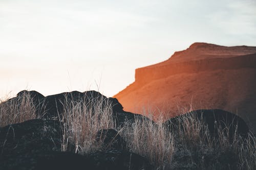 關(guān)于古詩作文錦集8篇