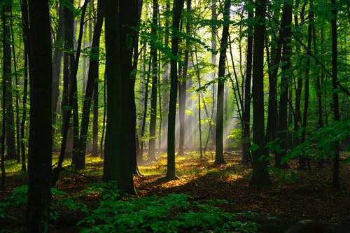 新書劉昂貂蟬劉子升穿越成皇子小說(shuō)在線閱讀