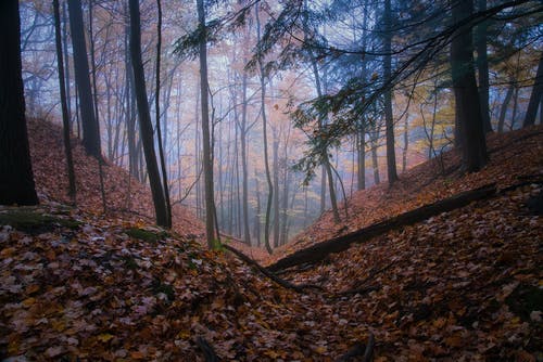 新婚美好祝福語