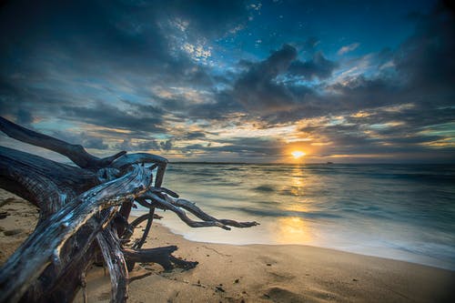 愛情公寓2經(jīng)典臺詞