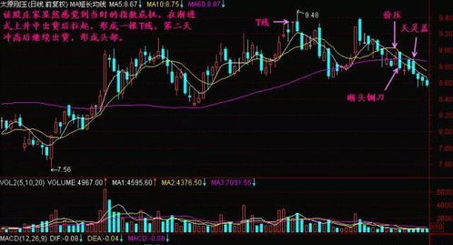 股票入門(mén)基礎(chǔ)知識(shí)t1