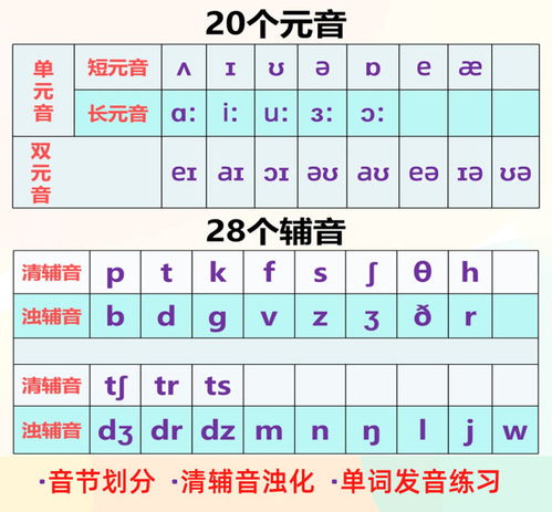 輔音,英語,基礎(chǔ)知識