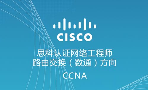 思科,基礎(chǔ)知識,網(wǎng)絡工程師
