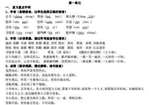 五級(jí)上冊(cè)基礎(chǔ)知識(shí)點(diǎn)