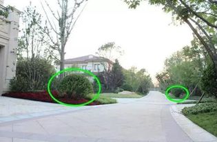 綠化種植的基礎(chǔ)知識(shí)