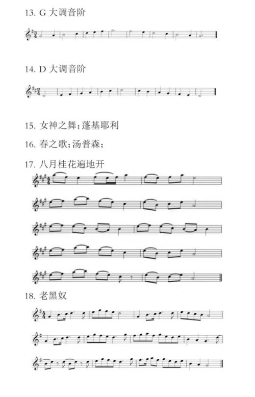 湖北小學(xué)音樂基礎(chǔ)知識(shí)真題