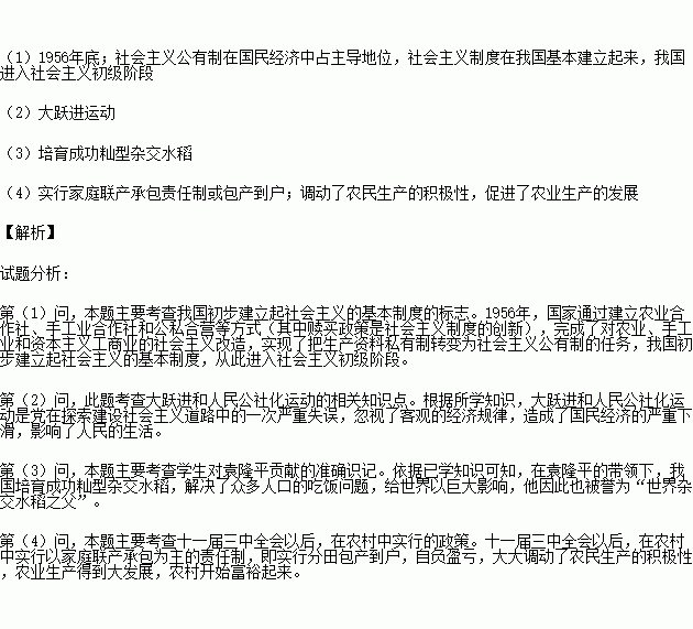 考題,三農(nóng),基礎(chǔ)知識(shí)