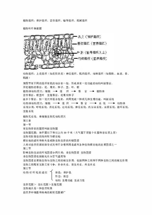 七上生物濟南版基礎知識總結(jié)