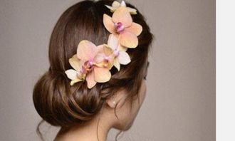 新娘盤發(fā)的基礎(chǔ)知識