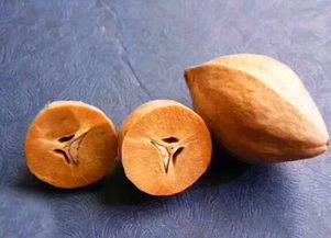 核雕技法基礎(chǔ)知識(shí)