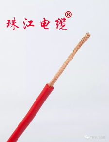 珠江電線電纜財務(wù)基礎(chǔ)知識試題