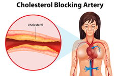心血管內(nèi)科基礎(chǔ)知識(shí),股票入門基礎(chǔ)知識(shí)音頻,佛學(xué)入門基礎(chǔ)知識(shí)音頻
