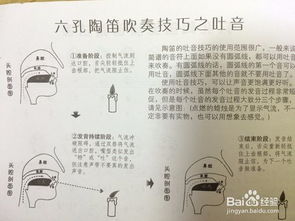 第二課陶笛基礎(chǔ)知識篇