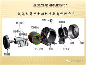 基礎(chǔ)知識(shí),電機(jī),電器