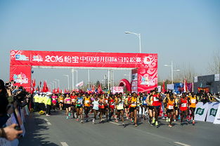 2017鄭開馬拉松志愿者基礎(chǔ)知識(shí)