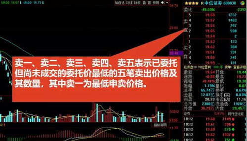 股市理財(cái)知識(shí)入門基礎(chǔ)知識(shí)