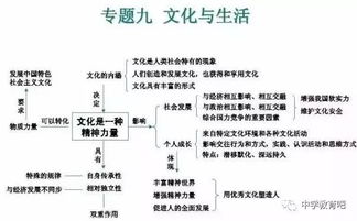 初三政治第l六課基礎(chǔ)知識(shí)匯總