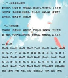 基礎(chǔ)知識(shí),語文