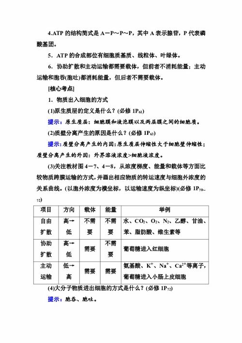 語句,基礎(chǔ)知識,重要性