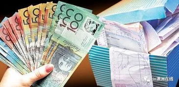 扣稅抵稅基礎知識