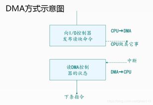 基礎(chǔ)知識(shí),印刷,硬件,基礎(chǔ)