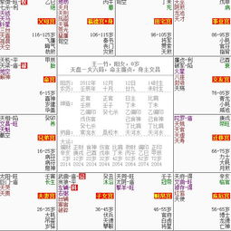 飛星紫微排盤基礎(chǔ)知識