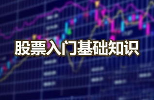 信管家股票入門基礎知識