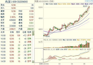鄭煤期貨基礎(chǔ)知識(shí)