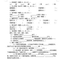 基礎(chǔ)知識(shí)小卷語文試題