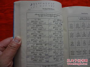 小學(xué)藏文基礎(chǔ)知識(shí)活動(dòng)方案