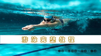 游泳的基礎(chǔ)知識(shí)