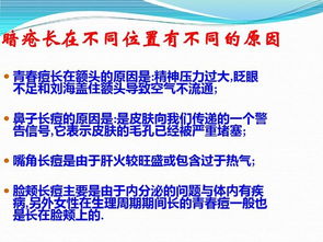 皮膚基礎(chǔ)知識(shí)學(xué)