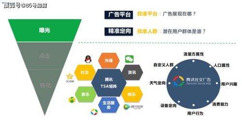 認知,基礎知識,目標,籃球