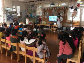 公共基礎(chǔ)和志愿服務(wù)知識