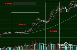 房地產收入及成本基礎知識大全