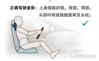 車輛駕駛員職業(yè)健康基礎(chǔ)知識