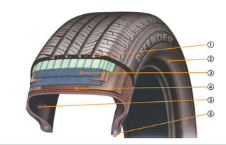 帶束鋼絲基礎(chǔ)知識