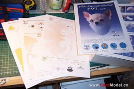 紙模型基礎(chǔ)知識(shí)