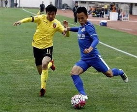 足球基礎(chǔ)知識(shí)訓(xùn)練