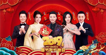 基礎(chǔ)知識(shí),晚會(huì),主持人,大學(xué)